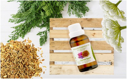 Tinh dầu thiên nhiên Aroma chia sẻ mẹo đào thải tồn dư thuốc bảo vệ thực vật trong cơ thể